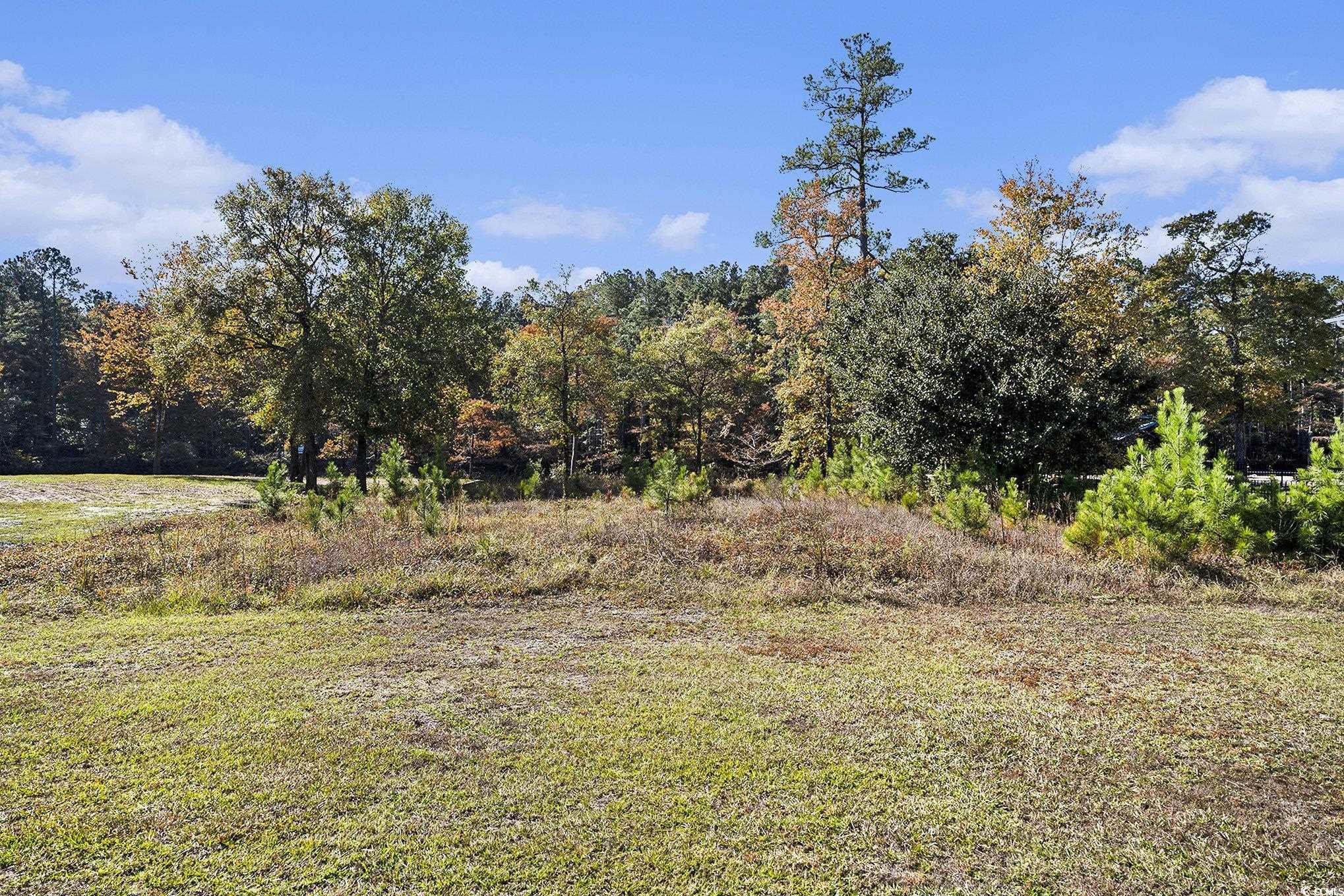 104 Lure Court Conway, SC 29526 - Photo 7 of 23 View of undeveloped land