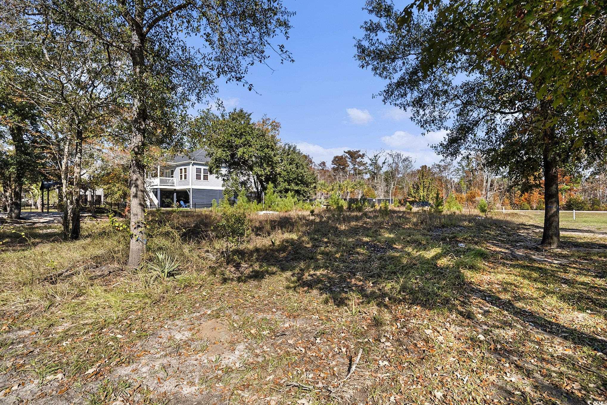 104 Lure Court Conway, SC 29526 - Photo 9 of 23 View of yard