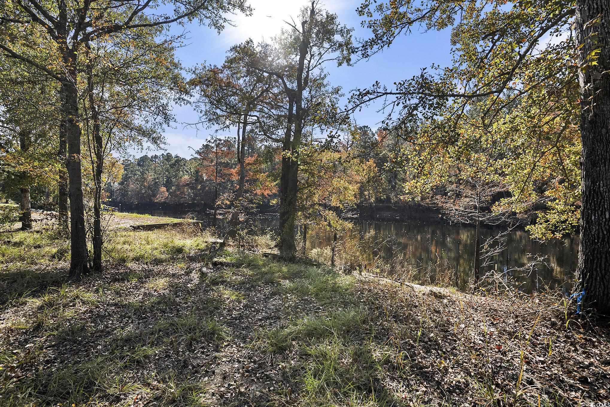 104 Lure Court Conway, SC 29526 - Photo 10 of 23 View of tree filled area