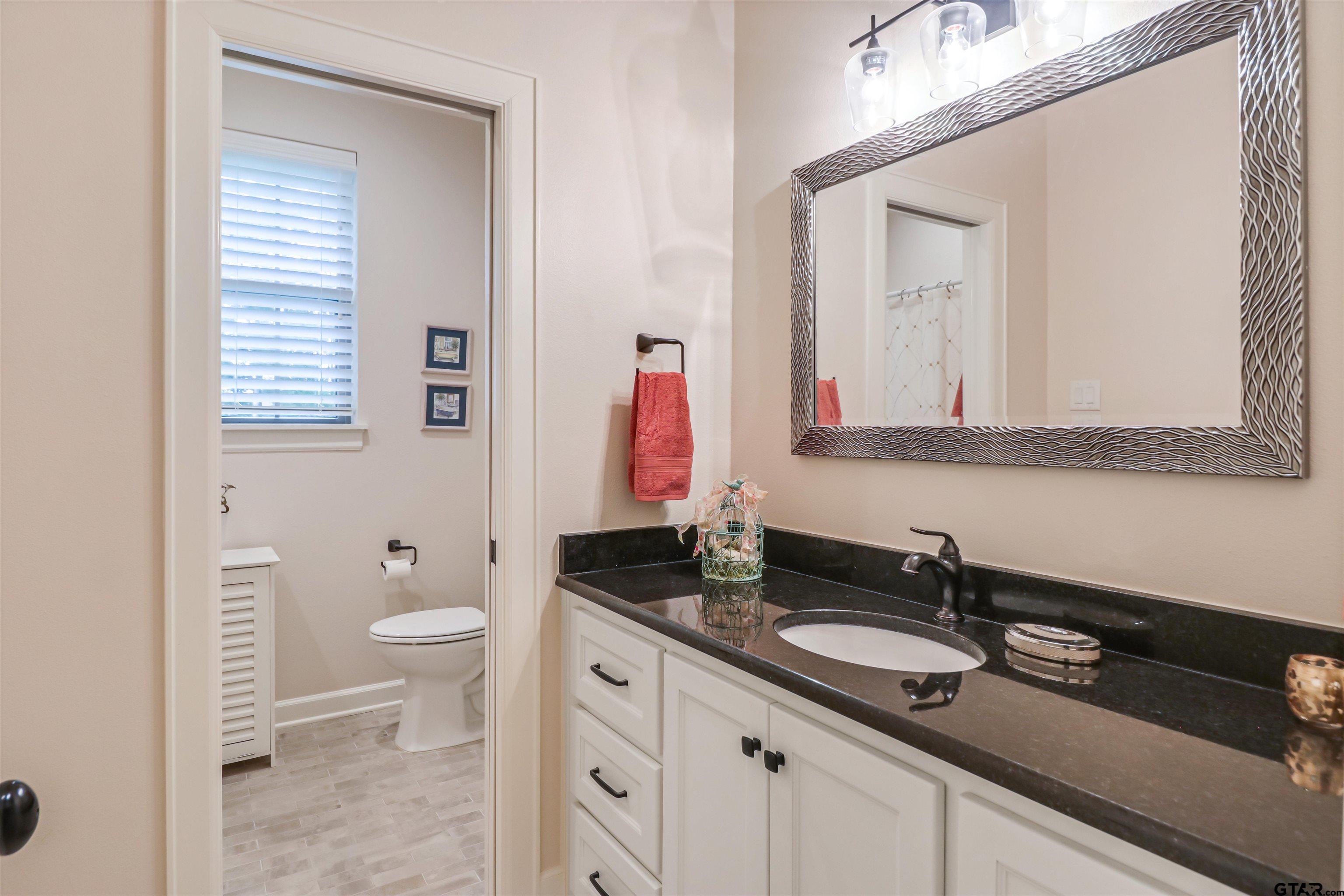 15733 County Road 1104 Flint, TX 75762 - Photo 24 of 32 a bathroom with a sink a toilet and a mirror