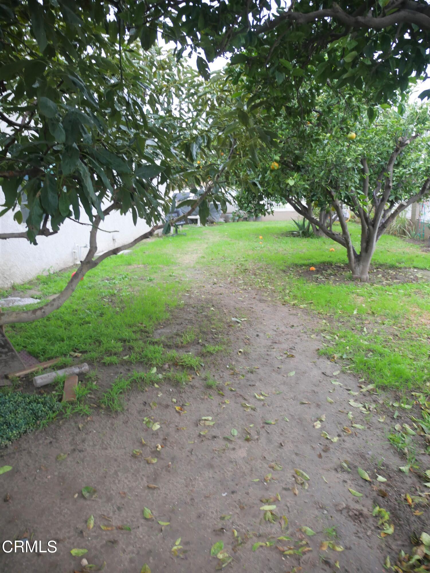 640 Tamarac Street Oxnard, CA 93033 - Photo 47 of 54 a view of a yard with a tree