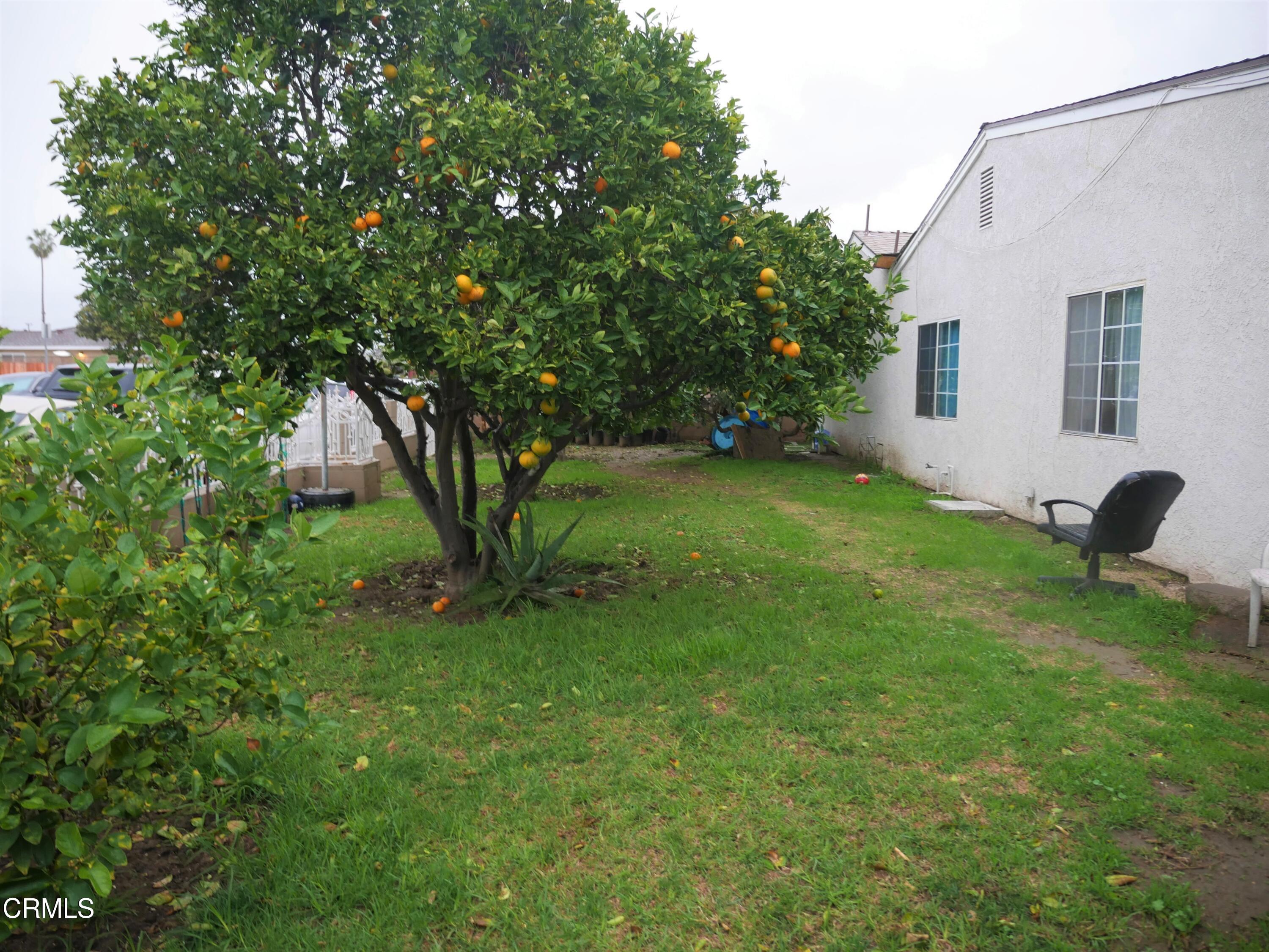 640 Tamarac Street Oxnard, CA 93033 - Photo 49 of 54 P1360025