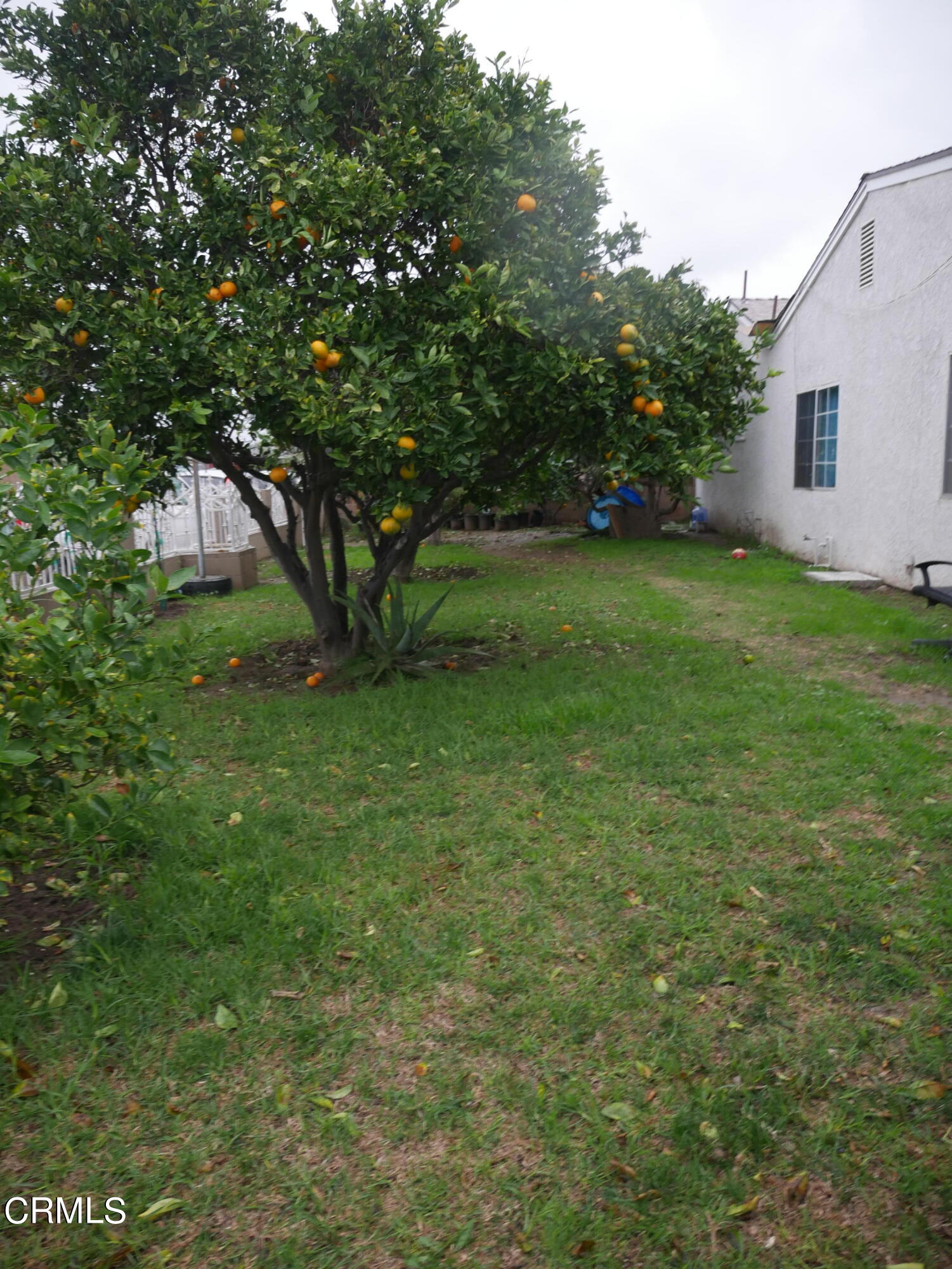 640 Tamarac Street Oxnard, CA 93033 - Photo 50 of 54 a view of yard with green space
