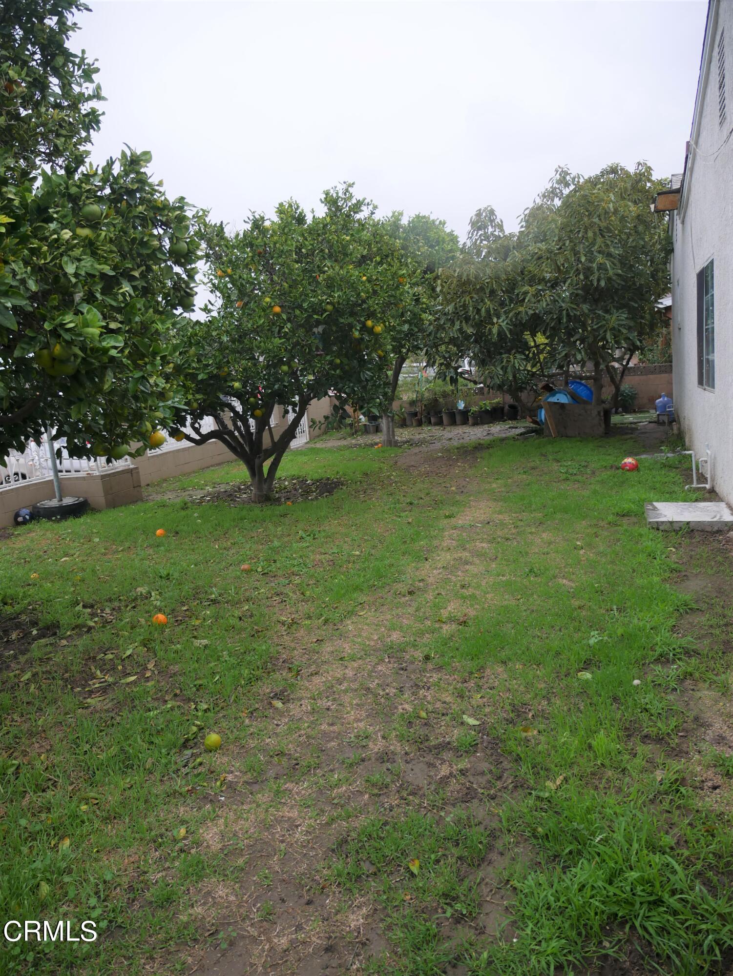 640 Tamarac Street Oxnard, CA 93033 - Photo 52 of 54 a view of a field of grass and trees