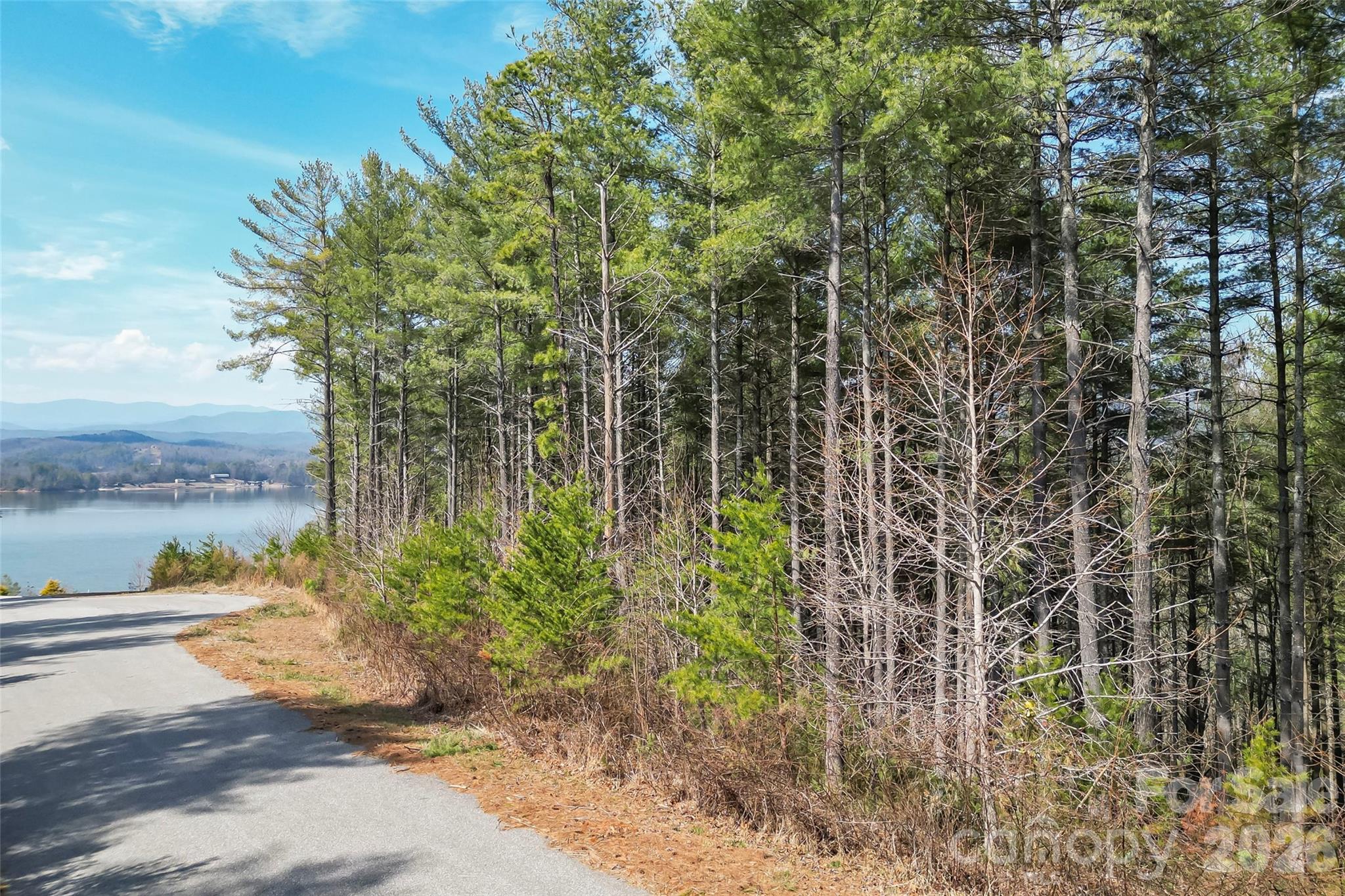 154 West Point Drive Nebo, NC 28761 - Photo 15 of 21 a view of lake from balcony