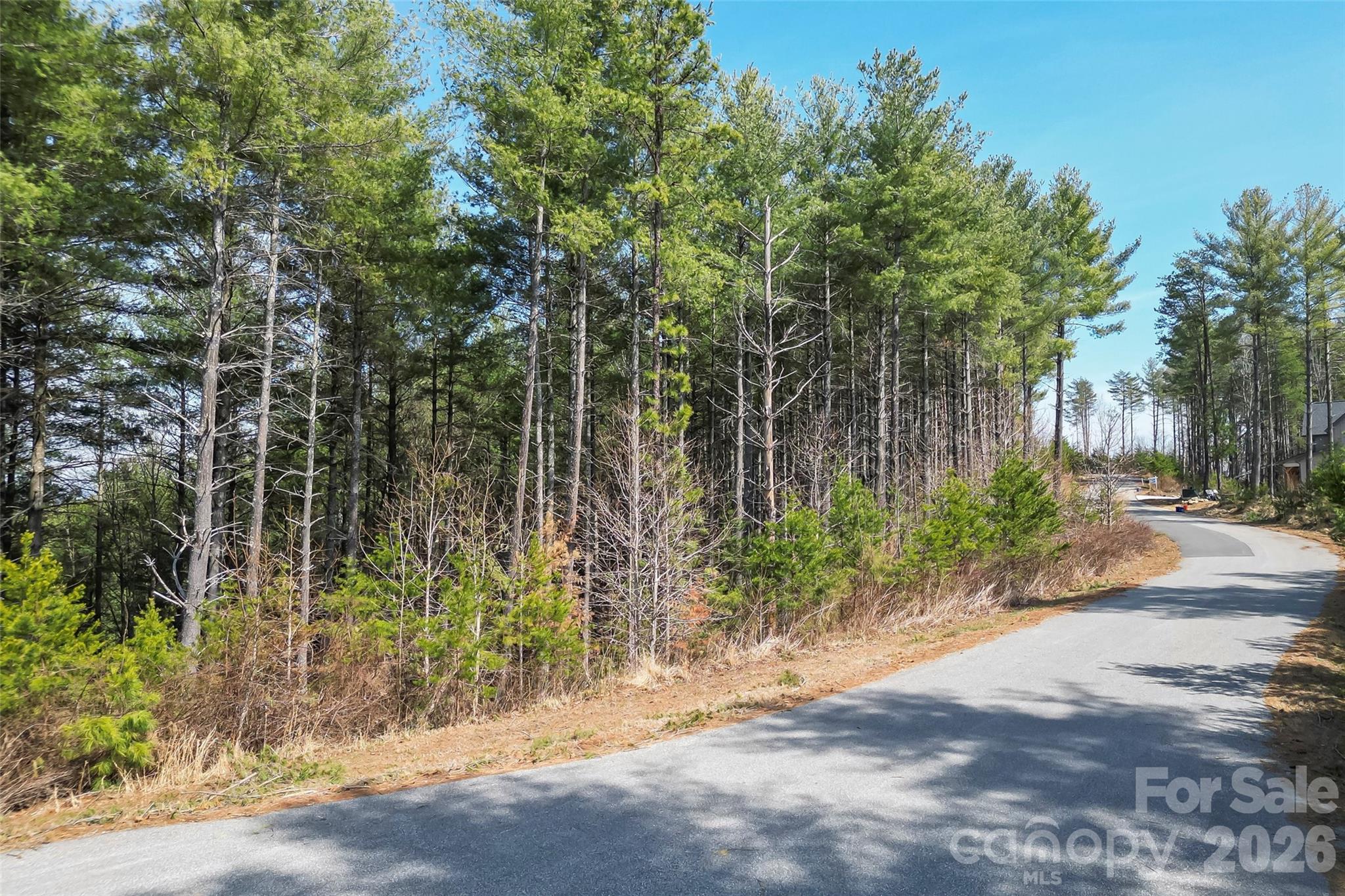 154 West Point Drive Nebo, NC 28761 - Photo 16 of 21 a backyard of a house with lots of plants and trees