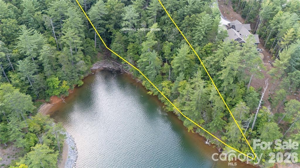 154 West Point Drive Nebo, NC 28761 - Photo 9 of 21 a view of a forest with a lake