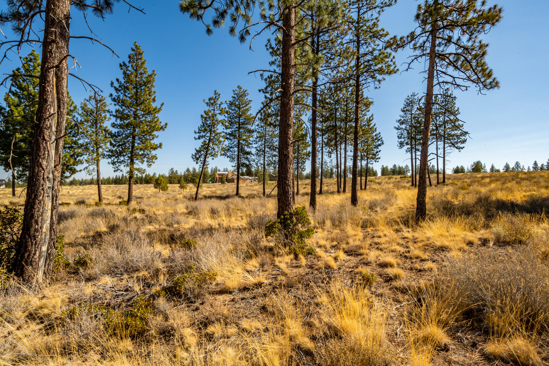 62450 Huntsman Loop Bend Bend, OR 97703 - Photo 9 of 13 11