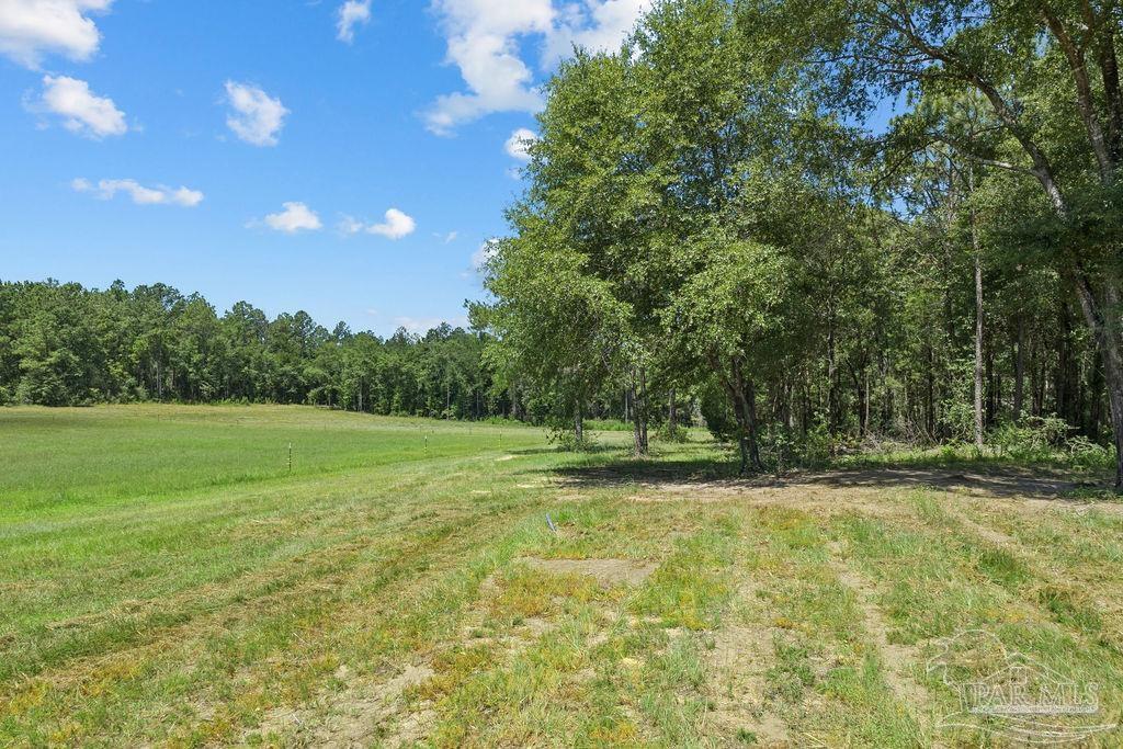6885 Dora Lee Killam Road Century, FL 32535 - Photo 37 of 47 Gallery Image 37