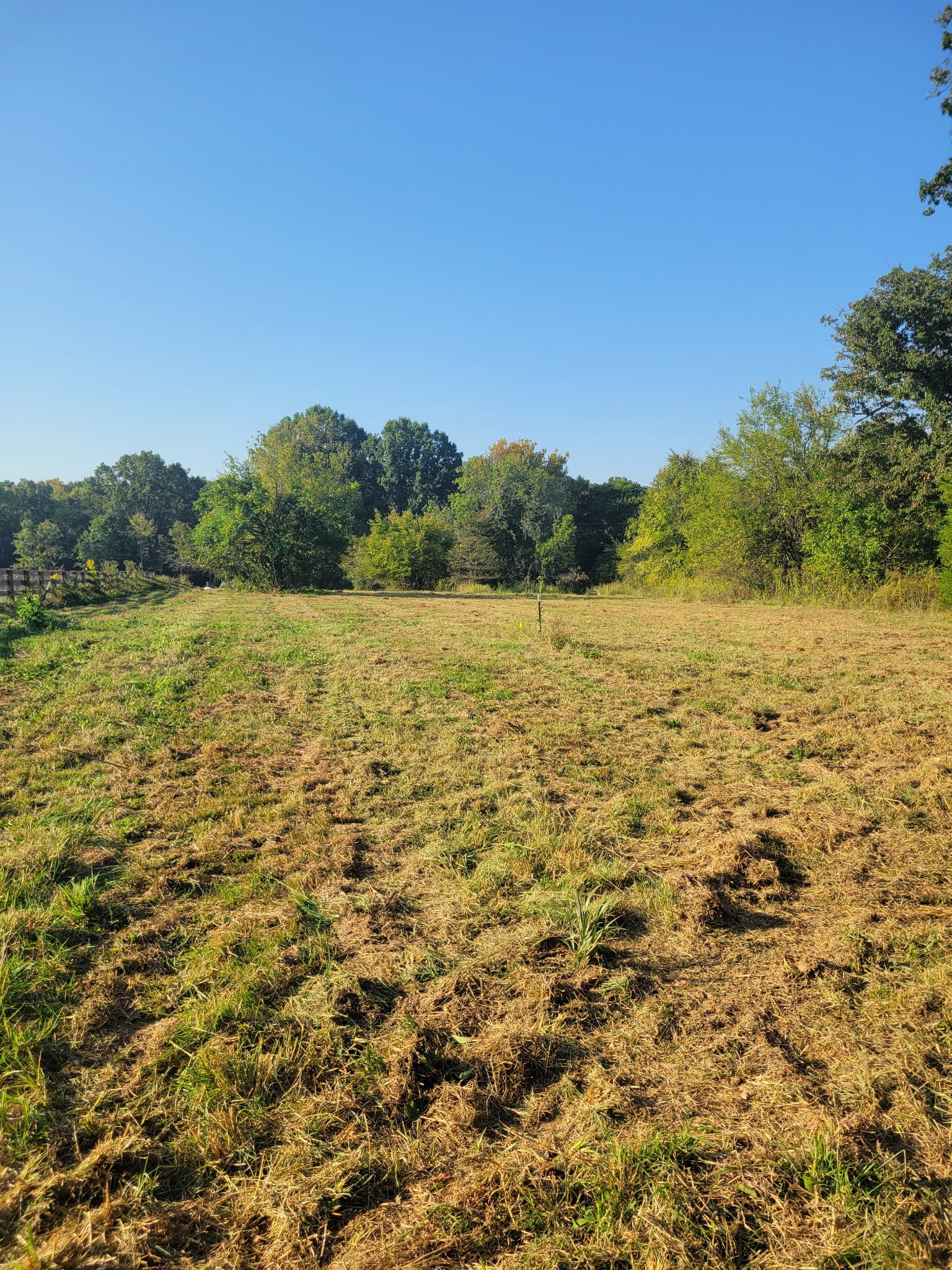 8 Double Branch Road Columbia, TN 38401 - Photo 1 of 4 Gallery Image 1