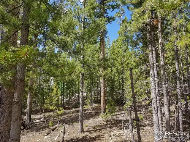 a view of outdoor space with lots of trees
