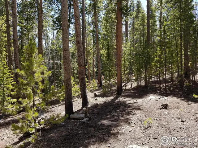 a view of outdoor space with street view