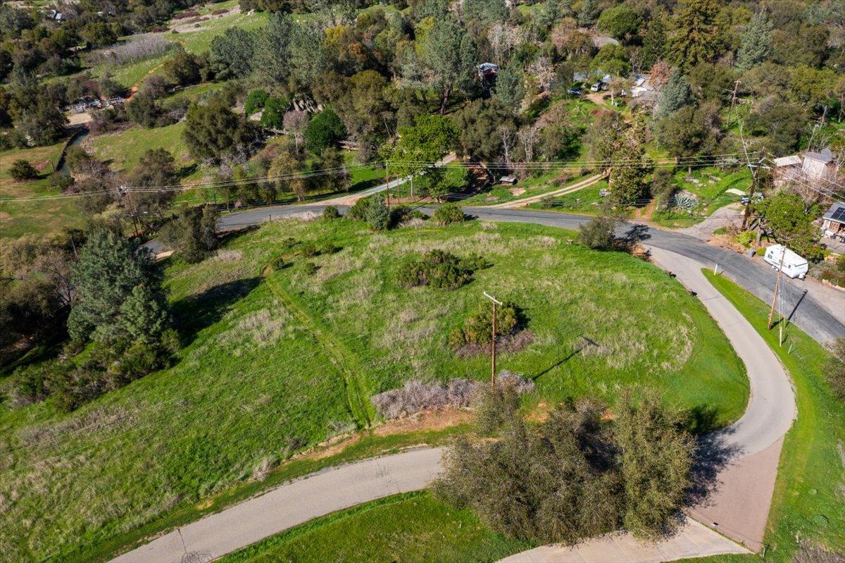 5 Oak Terrace Newcastle, CA 95658 - Photo 13 of 20 a view of a garden with a tree