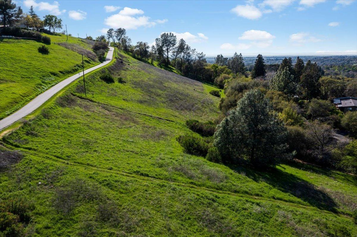 5 Oak Terrace Newcastle, CA 95658 - Photo 14 of 20 a view of a lush green forest