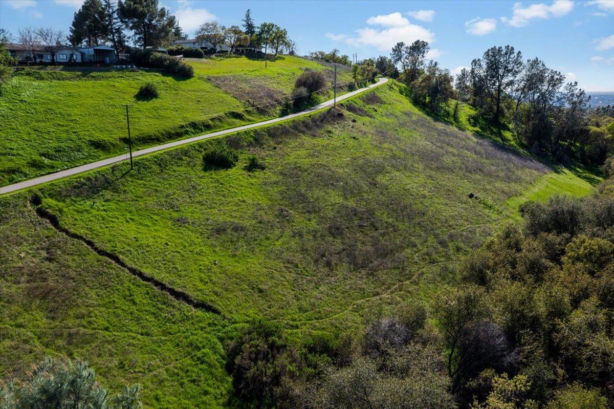 5 Oak Terrace Newcastle, CA 95658 - Photo 15 of 20 a view of a large garden