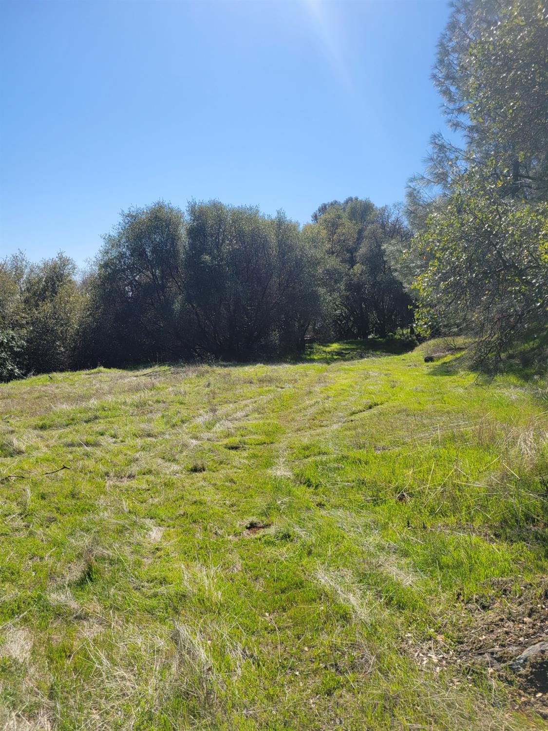 5 Oak Terrace Newcastle, CA 95658 - Photo 16 of 20 a view of a lake view