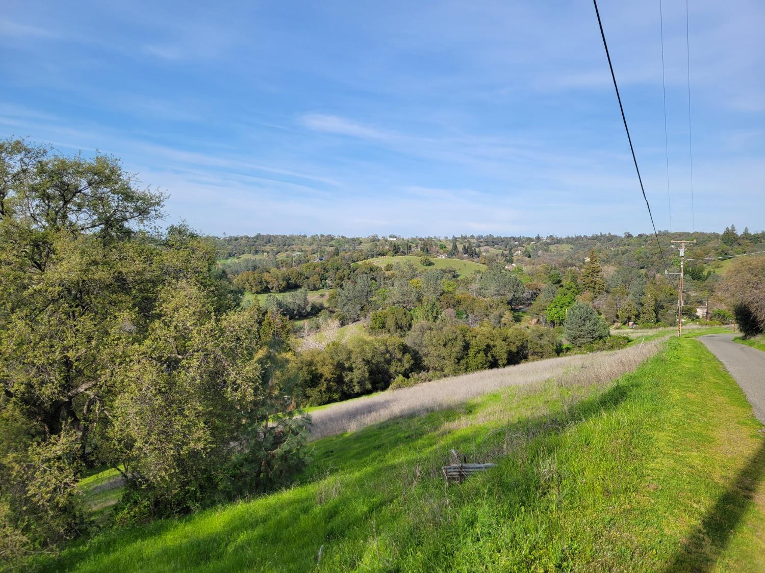 5 Oak Terrace Newcastle, CA 95658 - Photo 18 of 20 a view of a yard with an trees