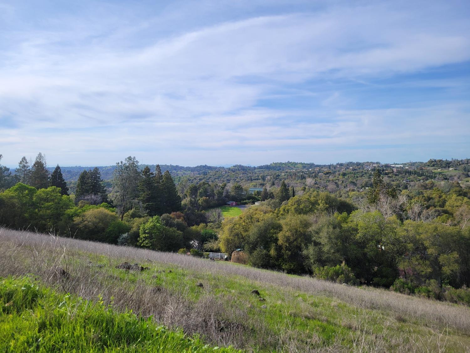5 Oak Terrace Newcastle, CA 95658 - Photo 19 of 20 an aerial view of forest