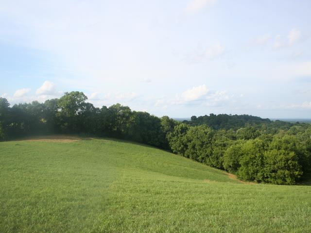 0 Rambo Hollow Road Lewisburg, TN 37091 - Photo 1 of 10 Gallery Image 1