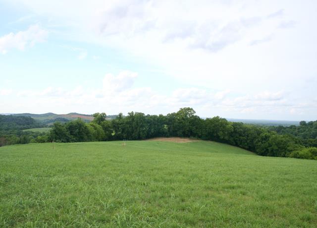 0 Rambo Hollow Road Lewisburg, TN 37091 - Photo 2 of 10 Gallery Image 2