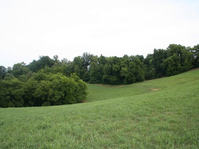 0 Rambo Hollow Road Lewisburg, TN 37091 - Photo 3 of 10 Gallery Image 3