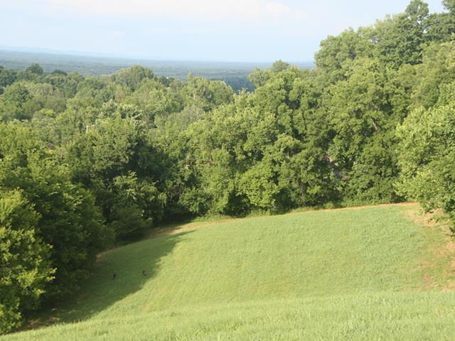 0 Rambo Hollow Road Lewisburg, TN 37091 - Photo 5 of 10 Gallery Image 5