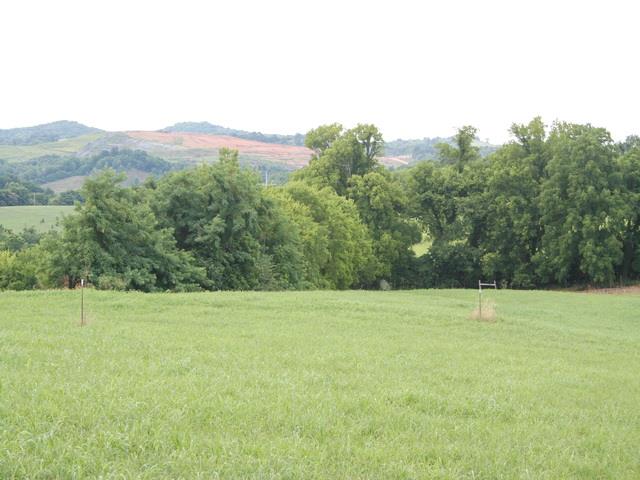 0 Rambo Hollow Road Lewisburg, TN 37091 - Photo 7 of 10 Gallery Image 7