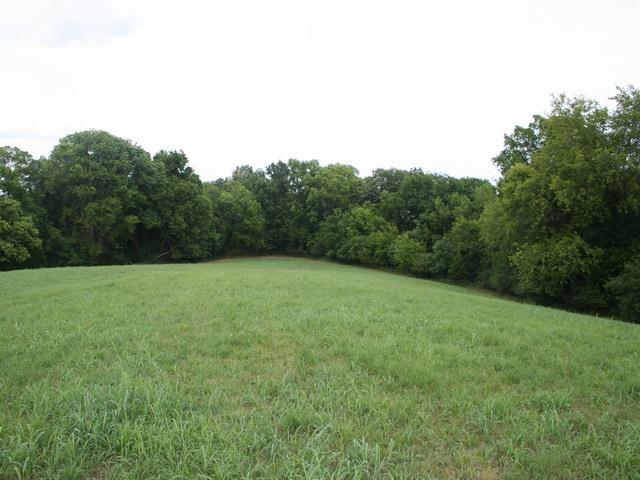 0 Rambo Hollow Road Lewisburg, TN 37091 - Photo 8 of 10 Gallery Image 8