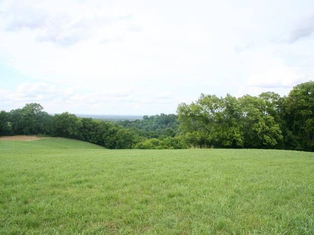 0 Rambo Hollow Road Lewisburg, TN 37091 - Photo 9 of 10 Gallery Image 9
