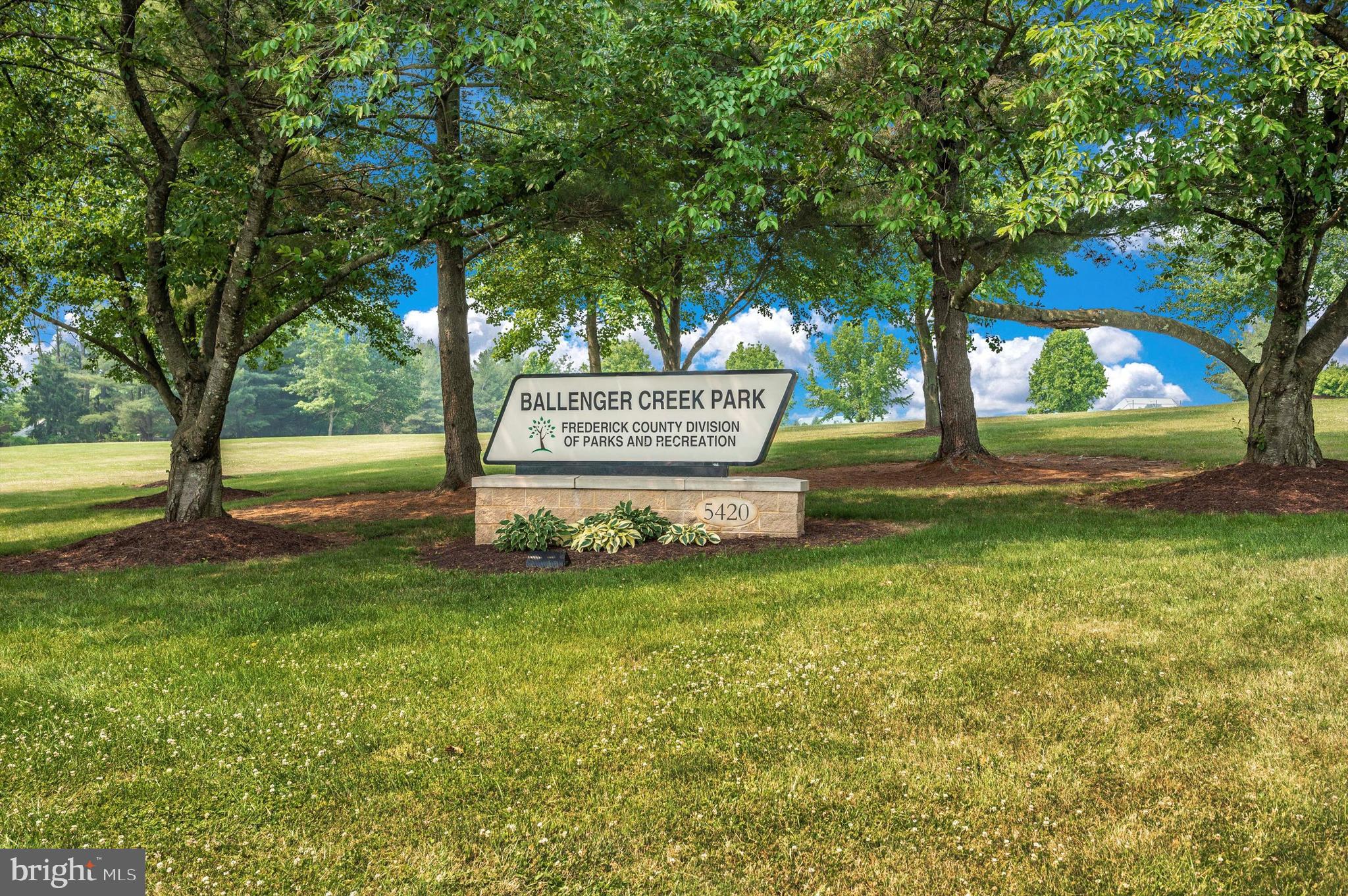4731 Verdana Loop Frederick, MD 21703 - Photo 47 of 51 a view of a park that has large trees