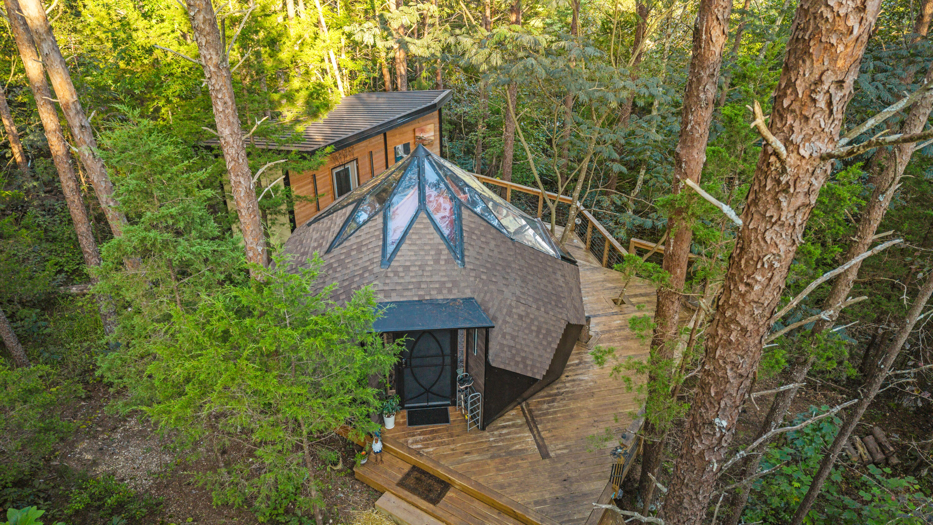 3584 Mason Road Rising Fawn, GA 30738 - Photo 4 of 84 High amongst the trees