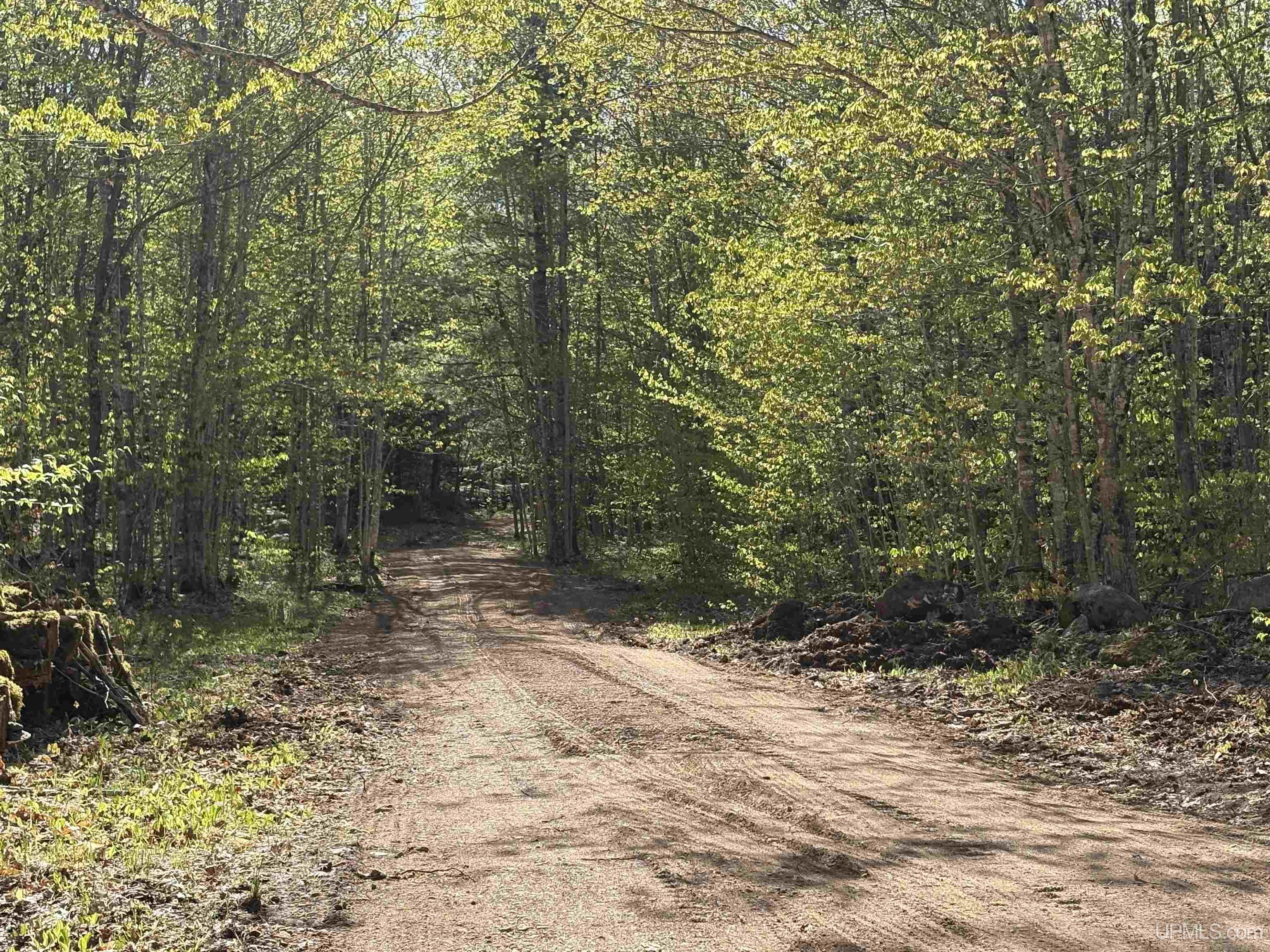 94-acres Peter White Road Deerton, MI 49822 - Photo 16 of 24