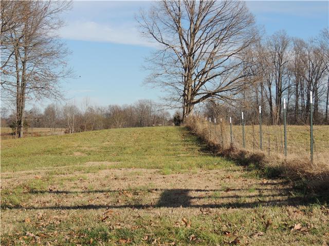 169 East Carter Road Portland, TN 37148 - Photo 16 of 18