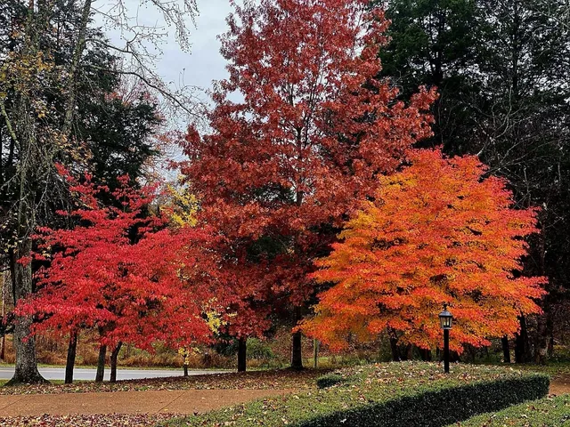 $998,500 | 371 Wilson Boat Dock Road, Lebanon, TN 37087