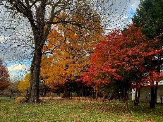 $998,500 | 371 Wilson Boat Dock Road, Lebanon, TN 37087