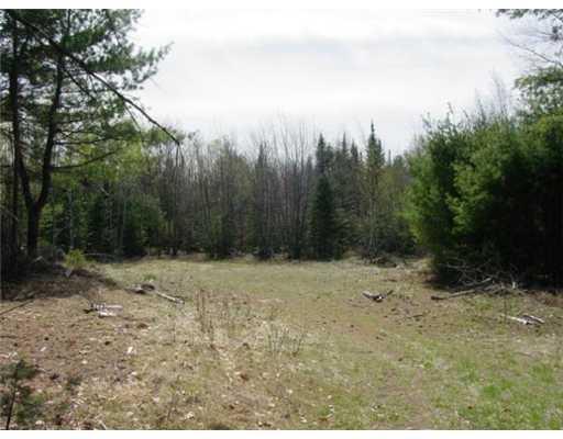 0 Meadow Street Bingham, ME 04920 - Photo 3 of 3 Land.