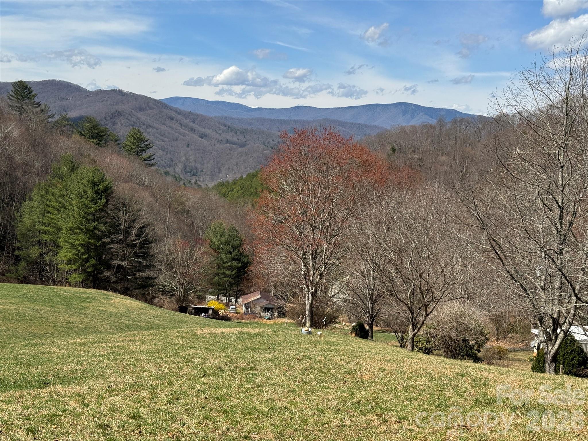 270 Anielee Lane Clyde, NC 28721 - Photo 16 of 32 a view of a yard with mountain