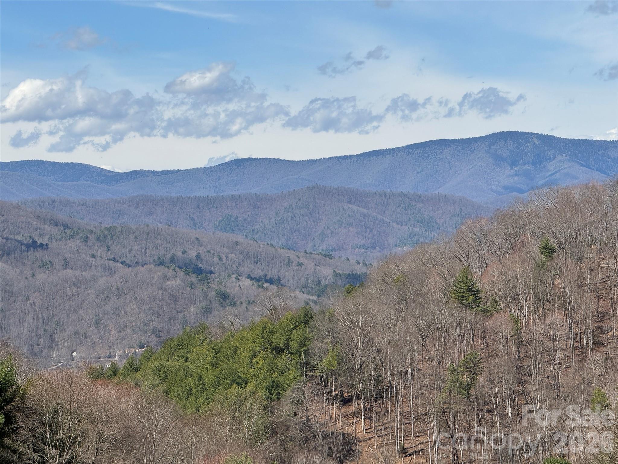 270 Anielee Lane Clyde, NC 28721 - Photo 2 of 32 a view of a dry field with mountains in the background