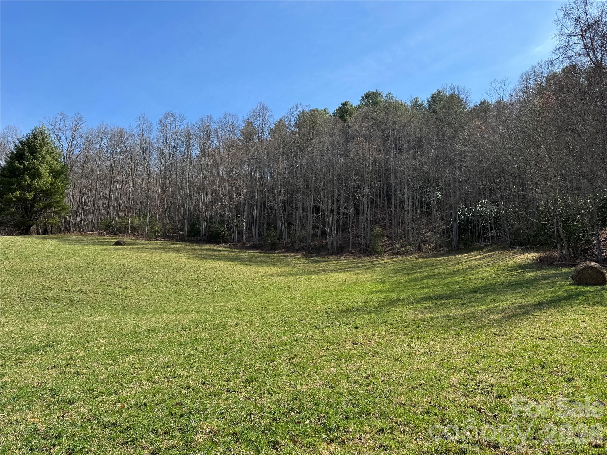 270 Anielee Lane Clyde, NC 28721 - Photo 26 of 32 a view of a yard