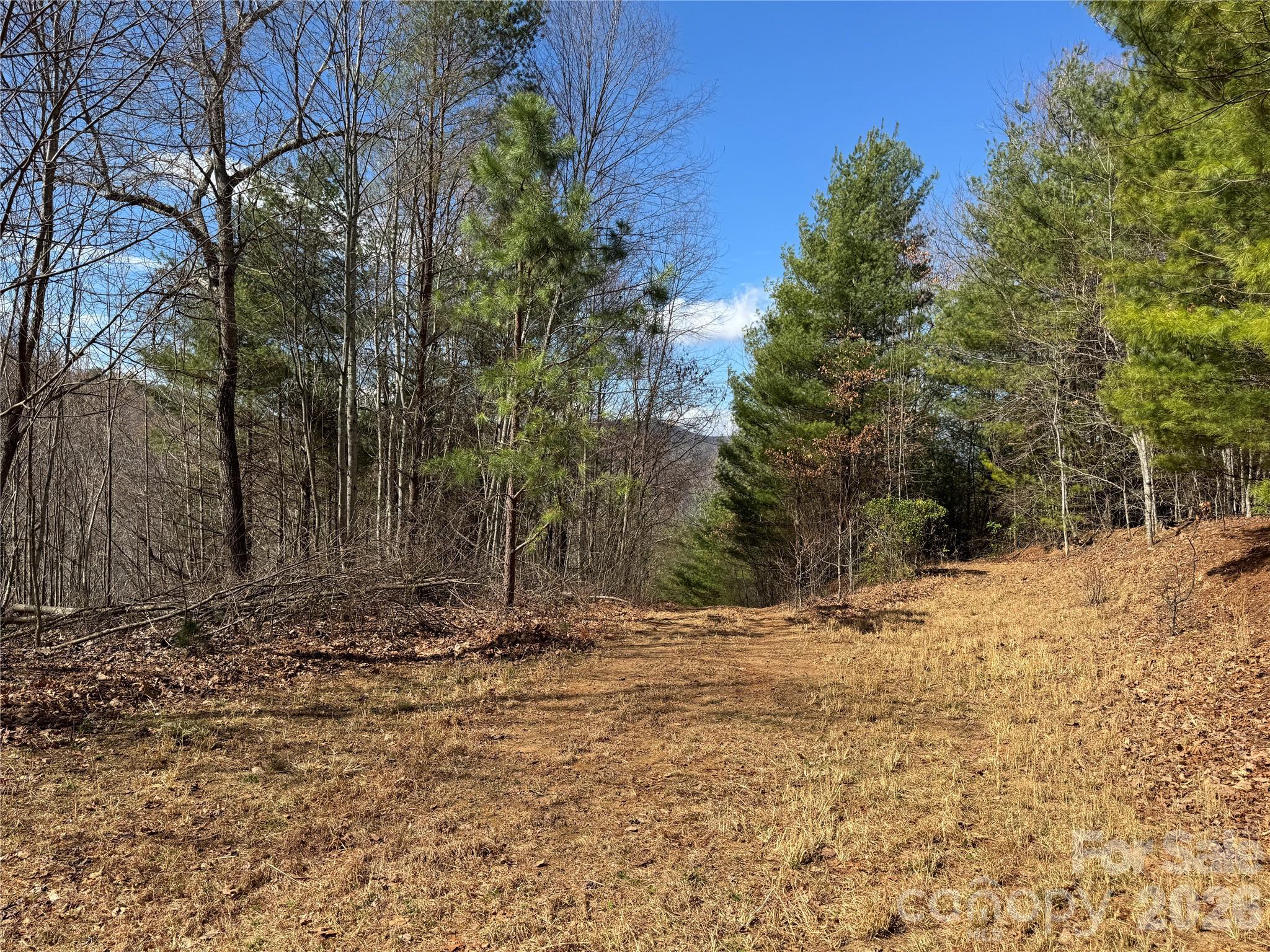 270 Anielee Lane Clyde, NC 28721 - Photo 27 of 32 a view of a yard with trees