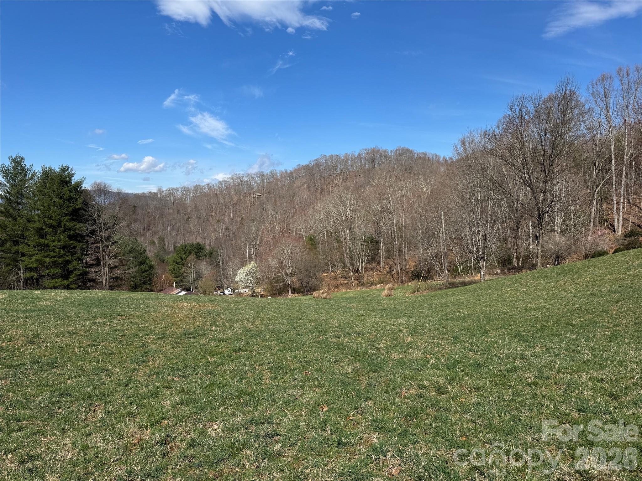 270 Anielee Lane Clyde, NC 28721 - Photo 3 of 32 a view of a field with an trees