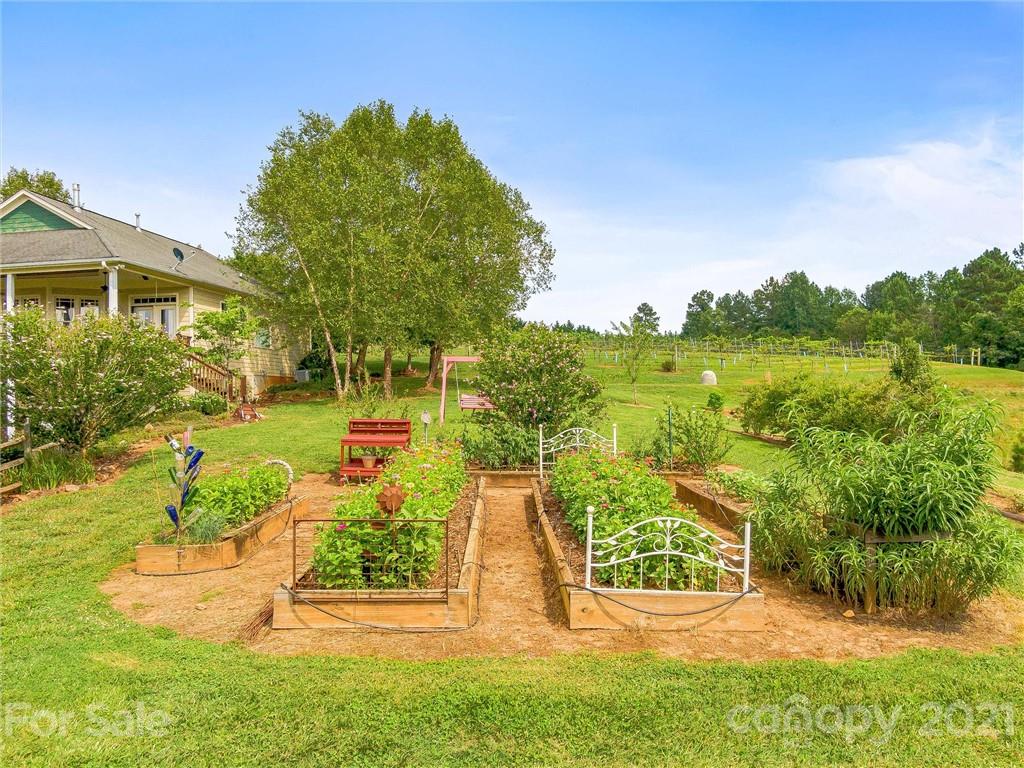 3043 John Watson Road Rutherfordton, NC 28139 - Photo 35 of 48 a view of a garden with an outdoor space