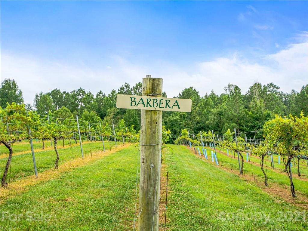 3043 John Watson Road Rutherfordton, NC 28139 - Photo 44 of 48 a sign board with tall trees in the background