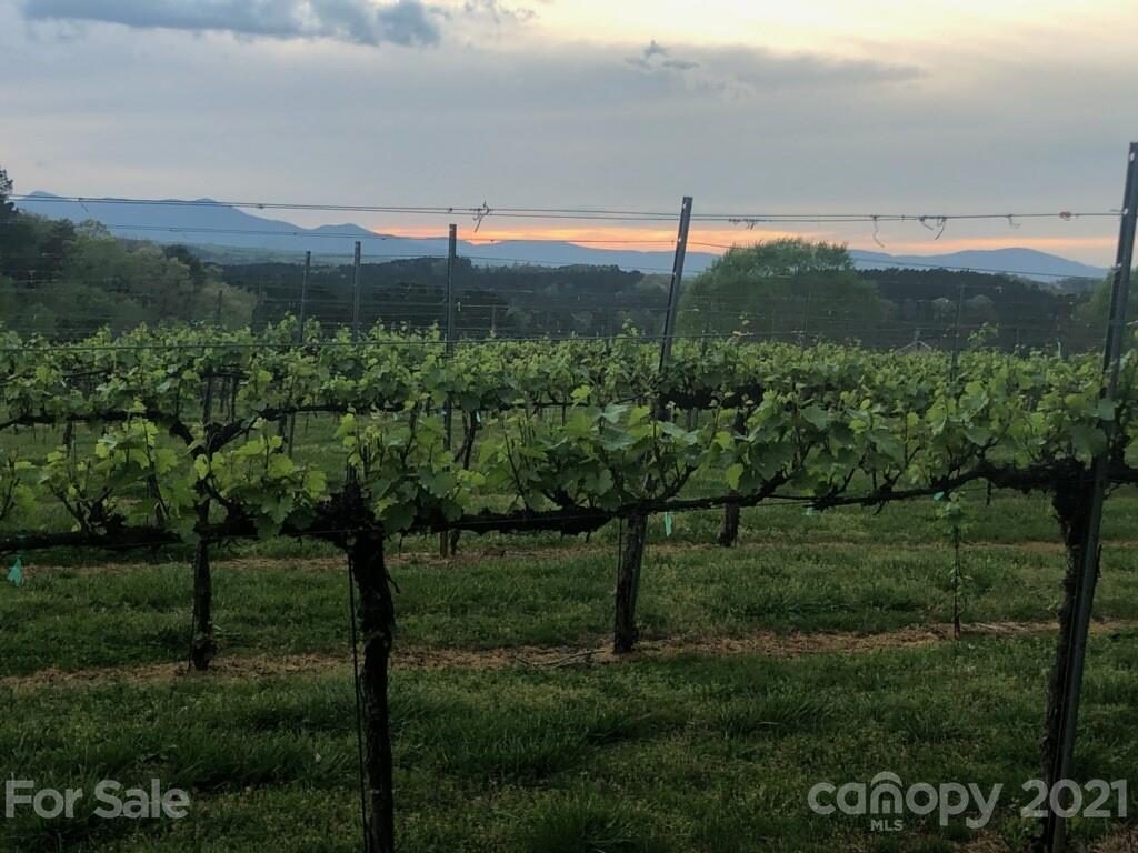3043 John Watson Road Rutherfordton, NC 28139 - Photo 45 of 48 a view of a green field with lots of green space