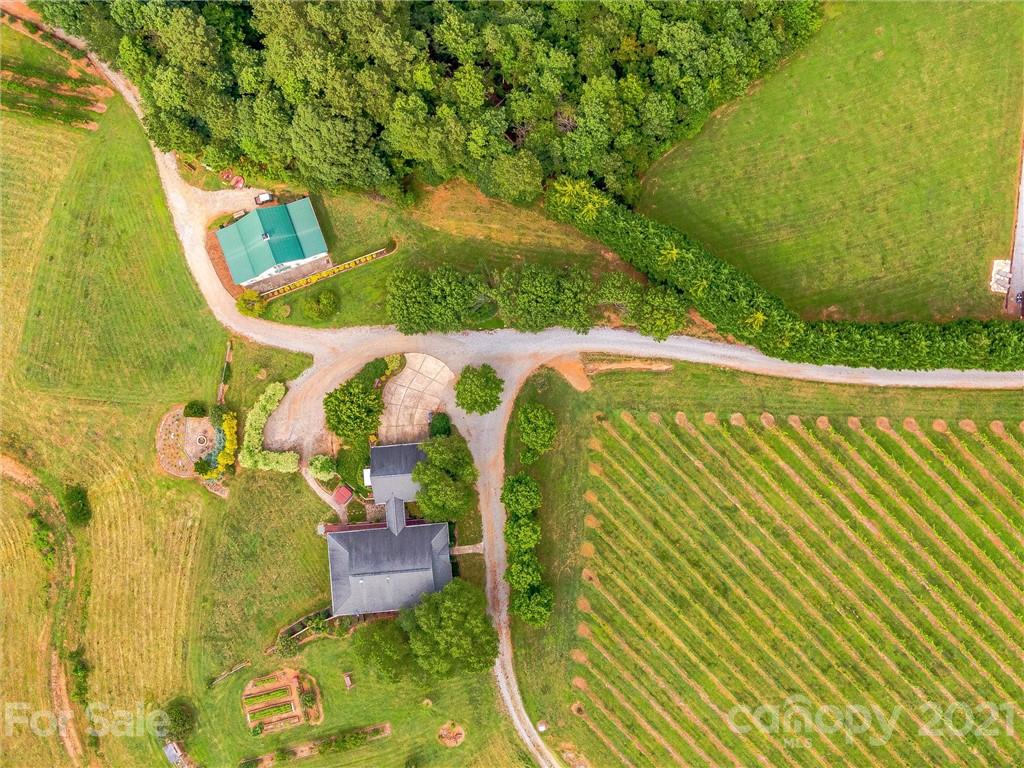 3043 John Watson Road Rutherfordton, NC 28139 - Photo 6 of 48 a view of a fountain sitting in a backyard
