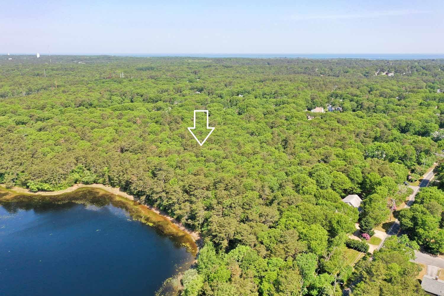 0 Woodland Road South Dennis, MA 02660 - Photo 1 of 10 a view of a big yard with lots of palm trees