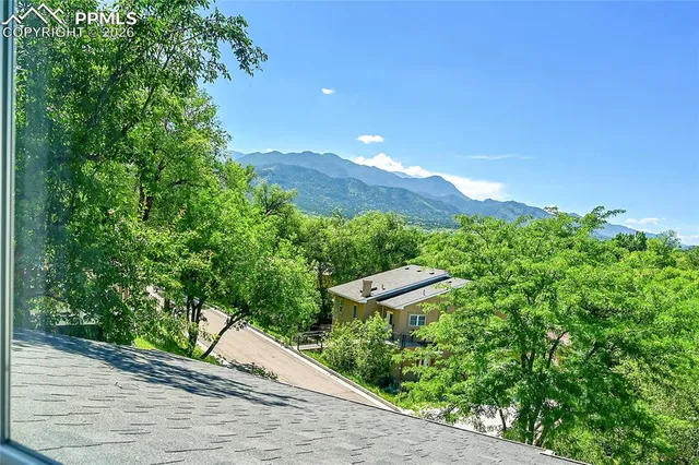 a view of a garden with a bench under an umbrella