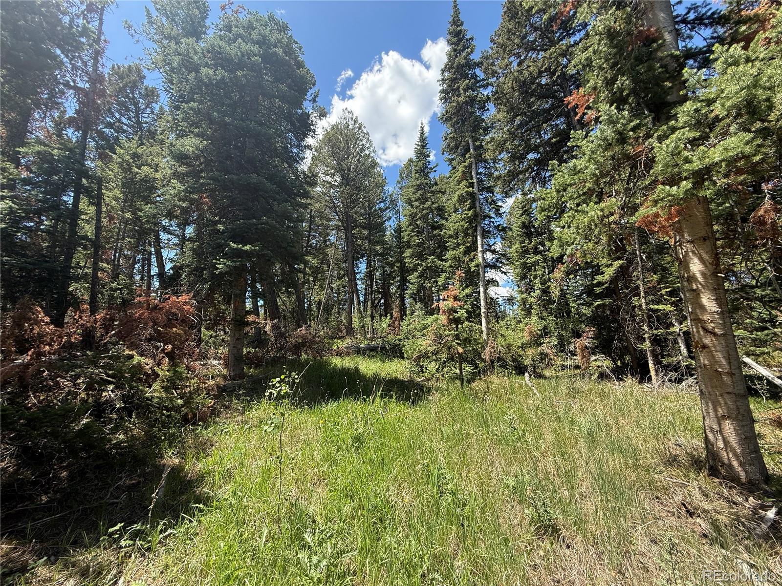 Spring Creek Ranch Road Silverthorne, CO 80498 - Photo 18 of 38