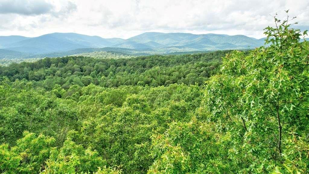 17.67 Rainbow Ridge Ellijay, GA 30536 - Photo 14 of 31 a view of a lush green hillside and a mountain view
