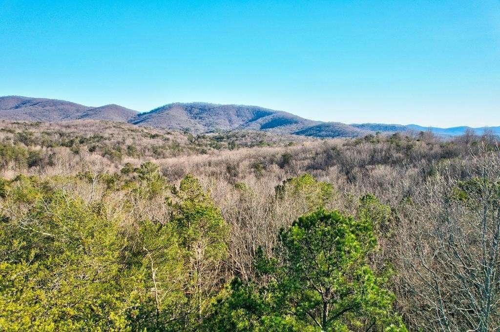 17.67 Rainbow Ridge Ellijay, GA 30536 - Photo 15 of 31 a view of a forest with mountains in the background
